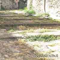 Albanella. Erba infestante, domani attività di diserbo:ecco dove - Voce di Strada