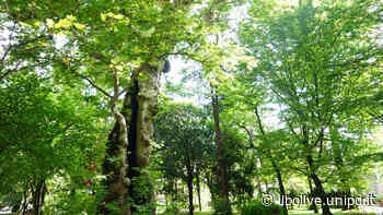 Conversazioni sull'erba: L'acqua, una risorsa in pericolo | Il Bo Live UniPD - Il Bo Live - Università di Padova
