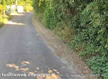 "Per quelle rarissime volte che venite a tagliare l'erba, siete pregati di non otturate la cunetta" - Tuscia Web