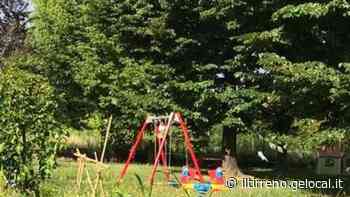 I bimbi dell’asilo giocano tra l’erba alta - Il Tirreno