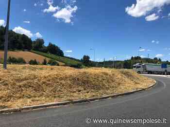 Via l'erba dalla 429 bis, cittadini: "Era l'ora!" - Qui News Empolese