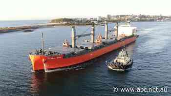 Newcastle container terminal hopes dealt a blow by Federal Court