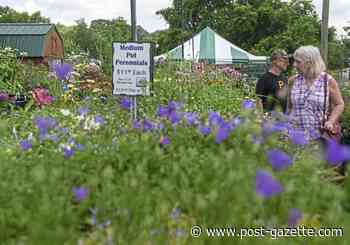Gardening is having a moment, but plants and workers are in short supply at Pittsburgh-area nurseries