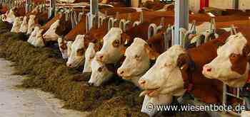 Aufhebung des Blauzungensperrgebiets im Landkreis Bamberg - Der Neue Wiesentbote