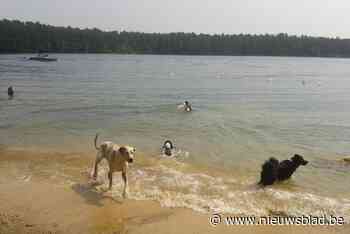 Ophef over mogelijke gifstrooier Warandeplas: “Nog geen melding bij politie”