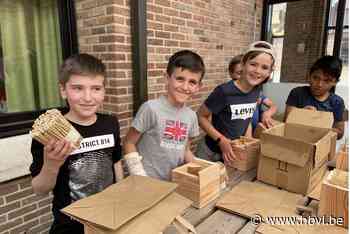 Leerlingen De Linde bouwen bijenhotel - Het Belang van Limburg