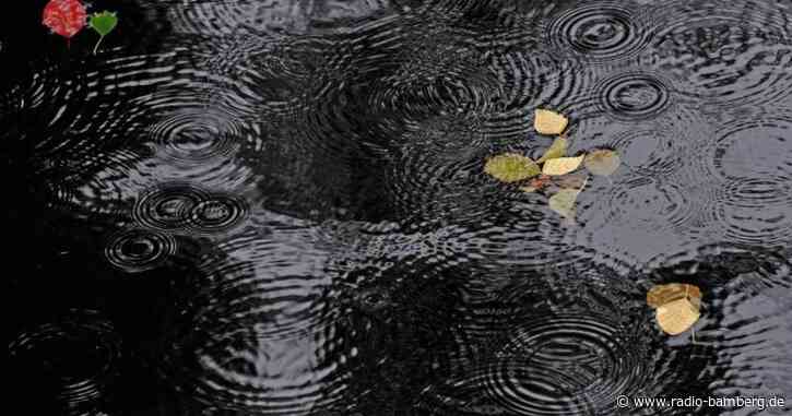 22-Jähriger ertrinkt in Badeweiher