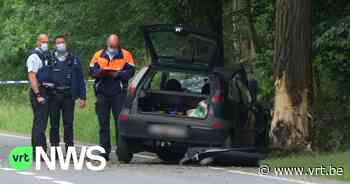 Dodelijk ongeval in Kasterlee: man botst tegen boom - VRT NWS
