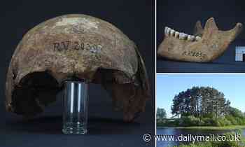 5,000-year-old man had the earliest known strain of plague