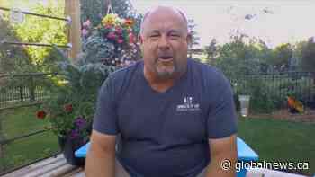 How to care for your lawn, trees and plants in hot weather