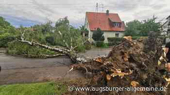 Unwetter in Neu-Ulm: Baum stürzt in Pfuhl fast auf ein Wohnhaus