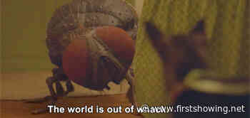 Toro! New US Trailer for Quentin Dupieux's Giant Fly Film 'Mandibules'