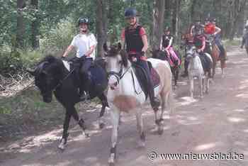 Jubileumsubsidie voor 50-jarige Ponyclub Pegasos (Mol) - Het Nieuwsblad