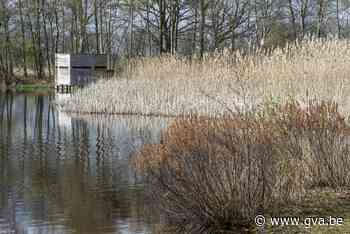 Fluxys plant veiligheidswerken in Kommiezenheide Postel (Mol) - Gazet van Antwerpen