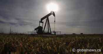 Report calls for public takeover of old Alberta oil and gas wells to fund their cleanup