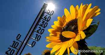 Western Canada’s extreme heat wave: Some experts have ‘never seen’ anything like it