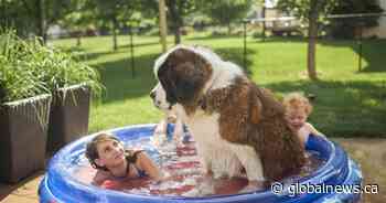Dozens of record highs set in Alberta Monday amid historic heat wave