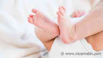 La PMA désormais pour toutes en France: tour d'horizon des pratiques en Europe