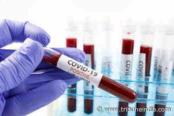 One death, 167 fresh coronavirus cases in Himachal Pradesh - The Tribune