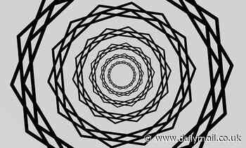 'Scintillating Starburst' optical illusion tricks you into thinking a spinning wheel is shimmering