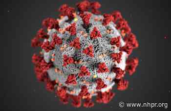 Coronavirus Update: NH Reports 30 New COVID-19 Infections - New Hampshire Public Radio