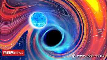 Rare black hole and neutron star collisions sighted twice in 10 days