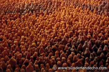 Angel of the North artist Antony Gormley to show Turner Prize-winning work in National Glass Centre - Sunderland Echo
