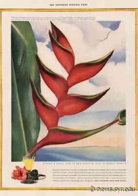 Sascha Scott Receives Smithsonian American Art Museum Award for Essay on Decolonizing U.S. Art History - Syracuse University News