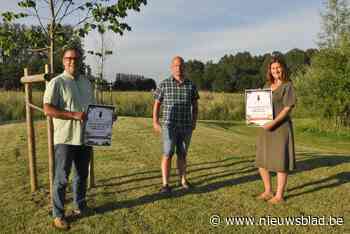 Vzw Red Oostmolen geeft strijd niet op tegen megaverkaveling - Het Nieuwsblad