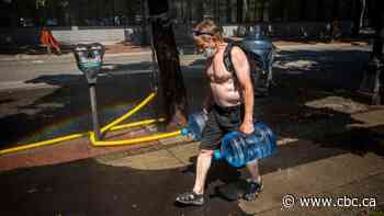 For 3rd straight day, B.C. village smashes record for highest Canadian temperature at 49.5 C