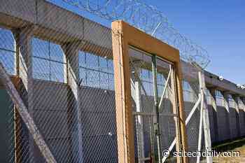 11% More First-Wave COVID-19 Cases in Counties With State Prisons