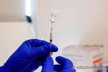 mRNA Vaccines Can Help Fight Cancer Tumors Too – Here’s How