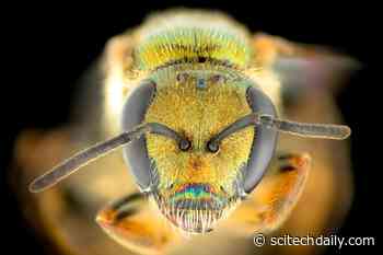 Fiji: How Humans Brought Change to a Tropical Paradise