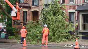 Toronto remains under heat warning after severe thunderstorm downs trees, floods roads