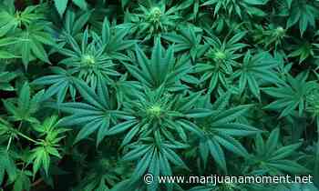 Rhode Island Lawmakers Approve Safe-Consumption Sites For Drugs As Panel Hears Marijuana Measure - Marijuana Moment