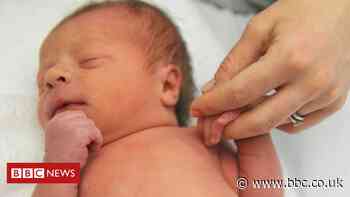 French lesbians and single women to get IVF rights