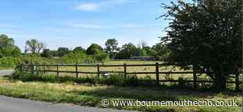 'No impact statement for New Forest homes plans' - Bournemouth Echo