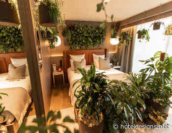 The power of biophilic design: Hotel creates immersive 'forest bathing' experience • Hotel Designs - Hotel Designs