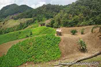 Forest loss in mountains of Southeast Asia accelerates at 'shocking' pace - Mongabay.com