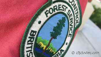 Relatively quiet weekend in Kamloops Forest District - CFJC Today Kamloops