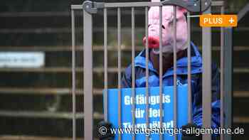 Tote Tiere, verheerende Zustände: Erneuter Schweinemastskandal im Alb-Donau-Kreis