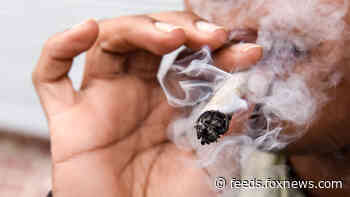 Mexico high court mandates permits for personal pot use