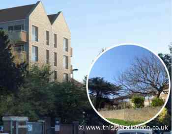 City of London: Social homes on Sydenham Hill Estate backed