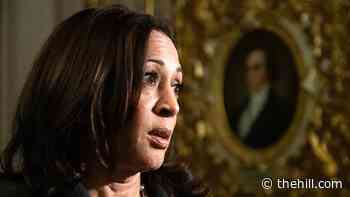 Harris touts US efforts on gender equality at UN forum
