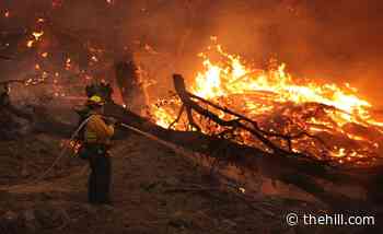 Biden announces new steps on wildfires: US must 'act fast'