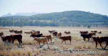 Drought resources available; PLUS; Reduce nitrate toxicity risk