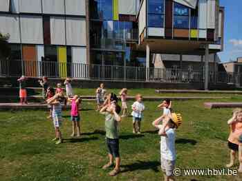 De Boomhut viert het jubileum van pastoor Gerard - Het Belang van Limburg