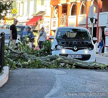 Une branche s’écrase sur un véhicule municipal à Villefranche-sur-Mer