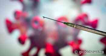 Active COVID-19 infections lowest this year with 14 in Saskatchewan ICUs