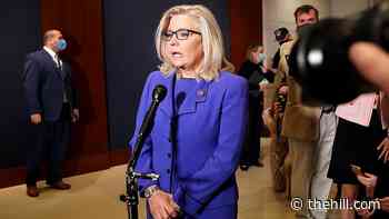 Cheney, Kinzinger are sole GOP votes for Jan. 6 select committee